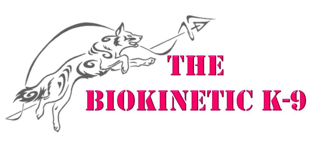 BK9 Logo